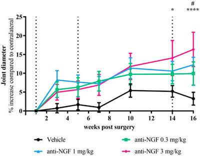 Anti-NGF treatment worsens subchondral bone and cartilage measures while improving symptoms in floor-housed rabbits with osteoarthritis